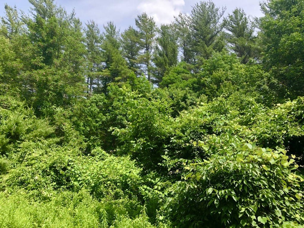 0 Parsonage Road Plympton, MA 02367 - Photo 2 of 5 Gallery Image 2