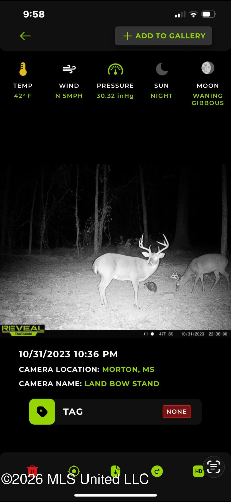 0 East Doc Clark Road Morton, MS 39117 - Photo 3 of 18 IMG_0453