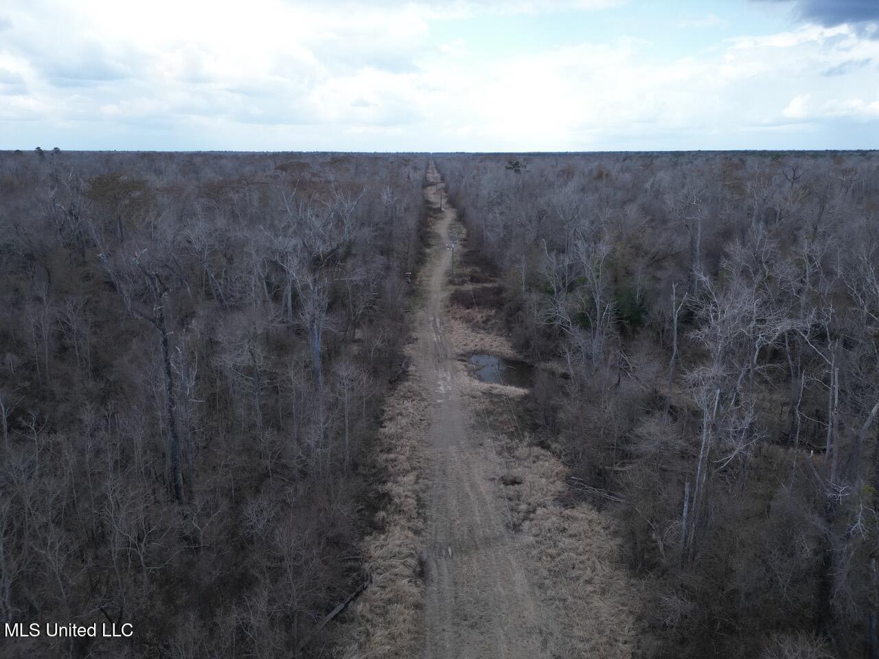 2599 Martin Tram Road Reeves, LA 70658 - Photo 1 of 40 DJI_0111 Large