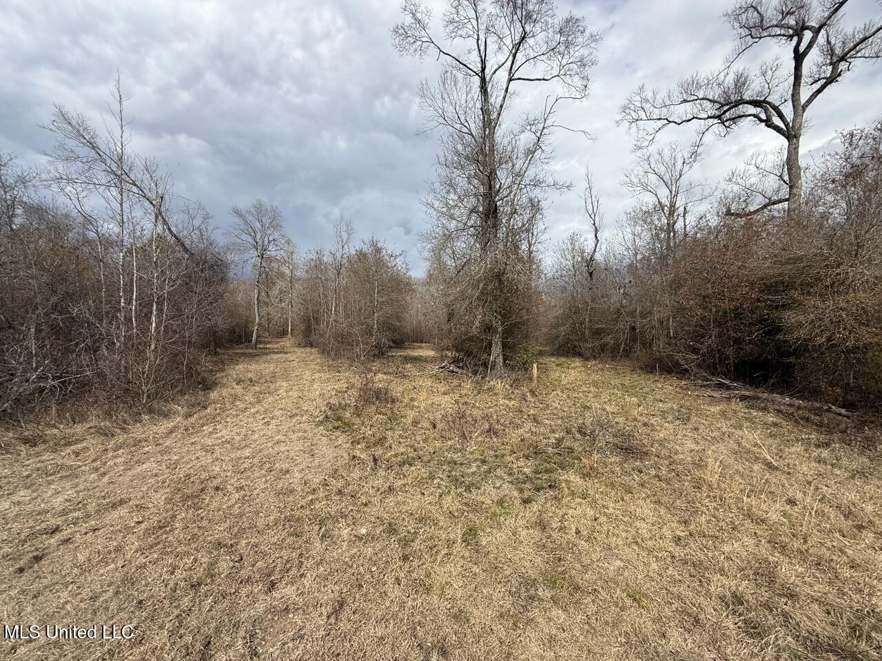 2599 Martin Tram Road Reeves, LA 70658 - Photo 16 of 40 IMG_0611 4 Large