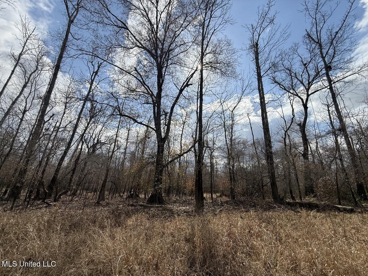 2599 Martin Tram Road Reeves, LA 70658 - Photo 19 of 40 IMG_0614 3 Large