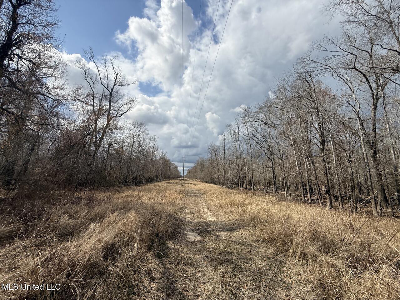 2599 Martin Tram Road Reeves, LA 70658 - Photo 20 of 40 IMG_0615 3 Large