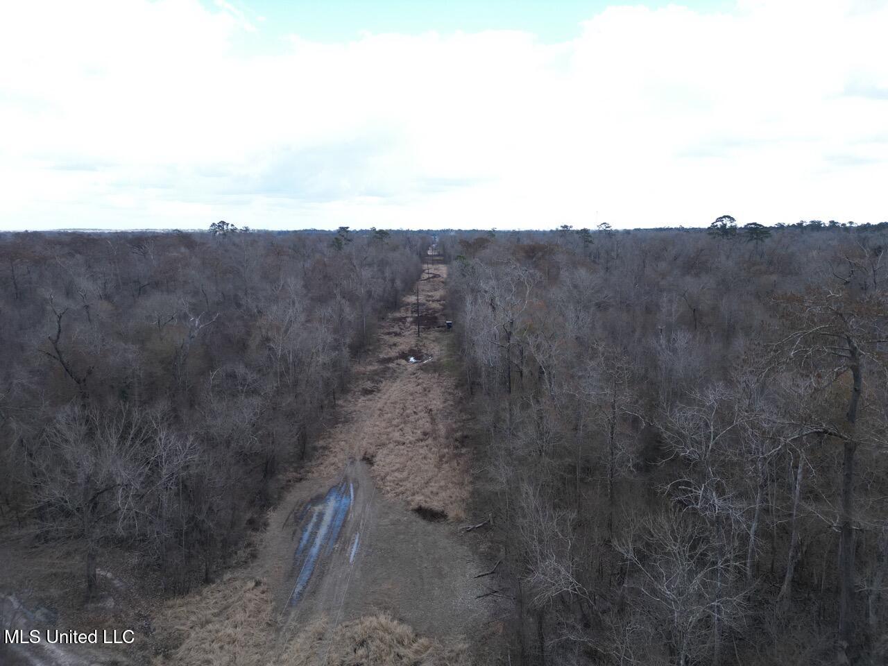 2599 Martin Tram Road Reeves, LA 70658 - Photo 2 of 40 DJI_0112 Large