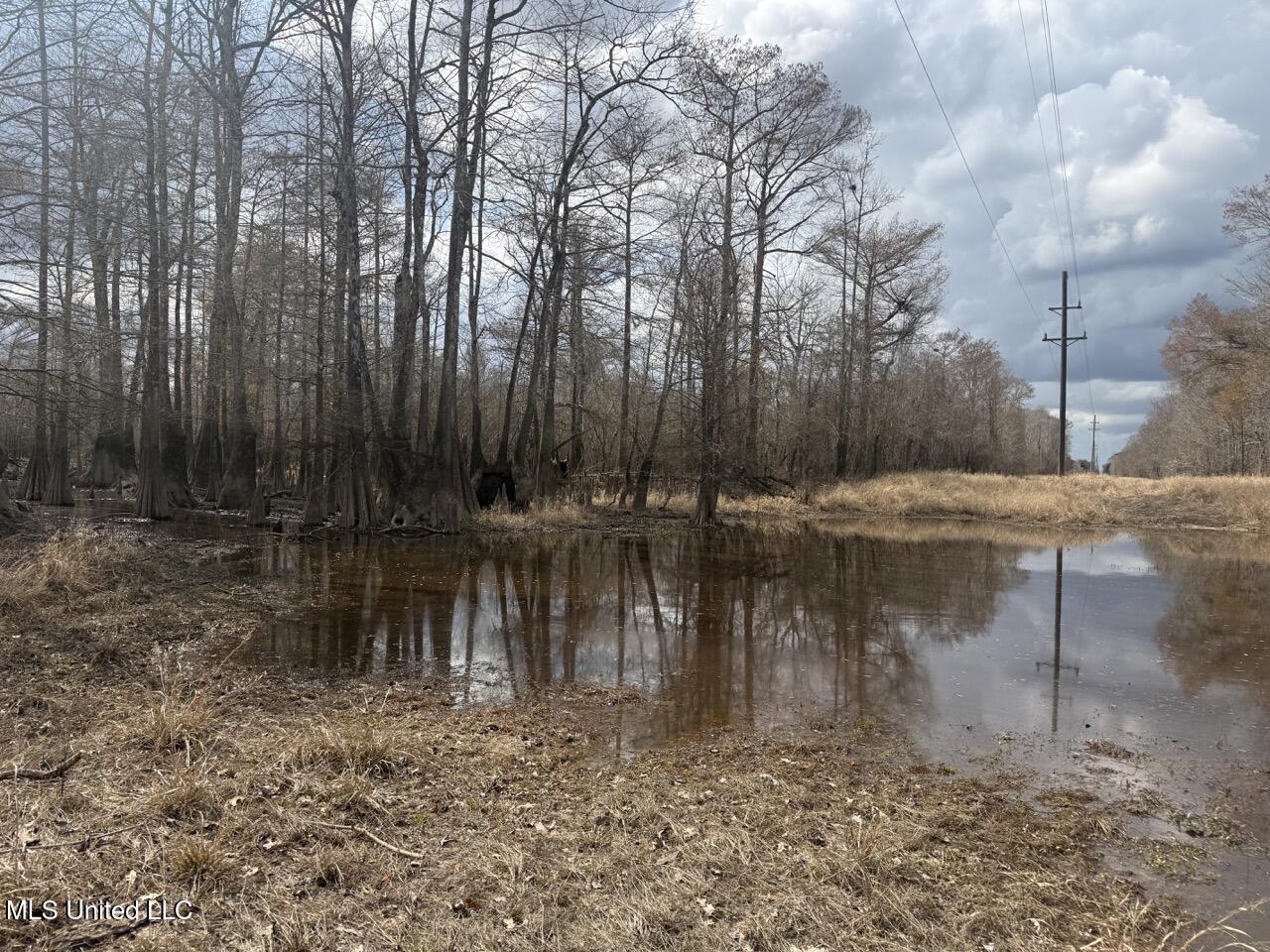 2599 Martin Tram Road Reeves, LA 70658 - Photo 21 of 40 IMG_0616 4 Large