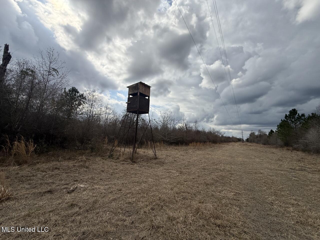 2599 Martin Tram Road Reeves, LA 70658 - Photo 22 of 40 IMG_0617 4 Large