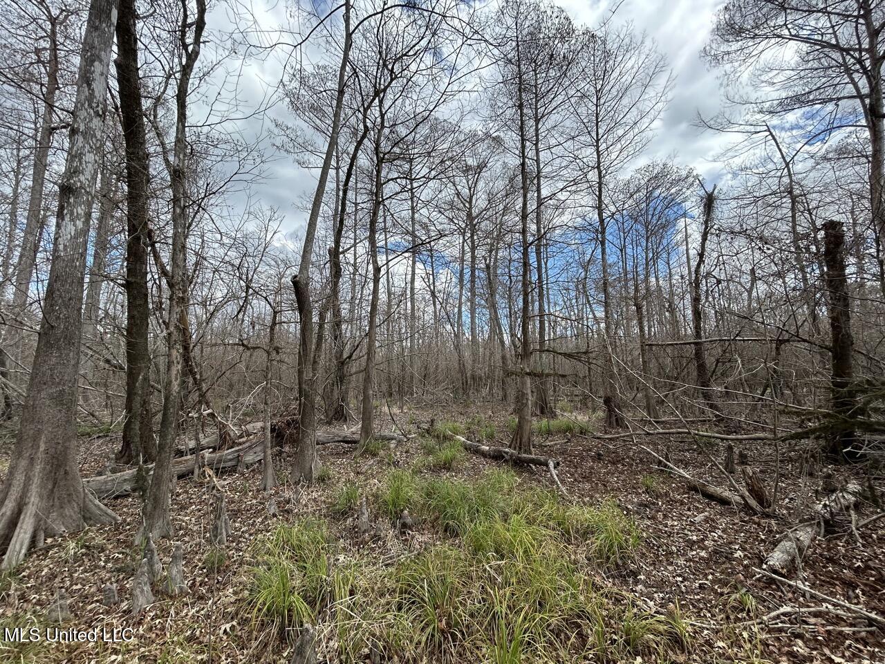 2599 Martin Tram Road Reeves, LA 70658 - Photo 23 of 40 IMG_2941 2 Large
