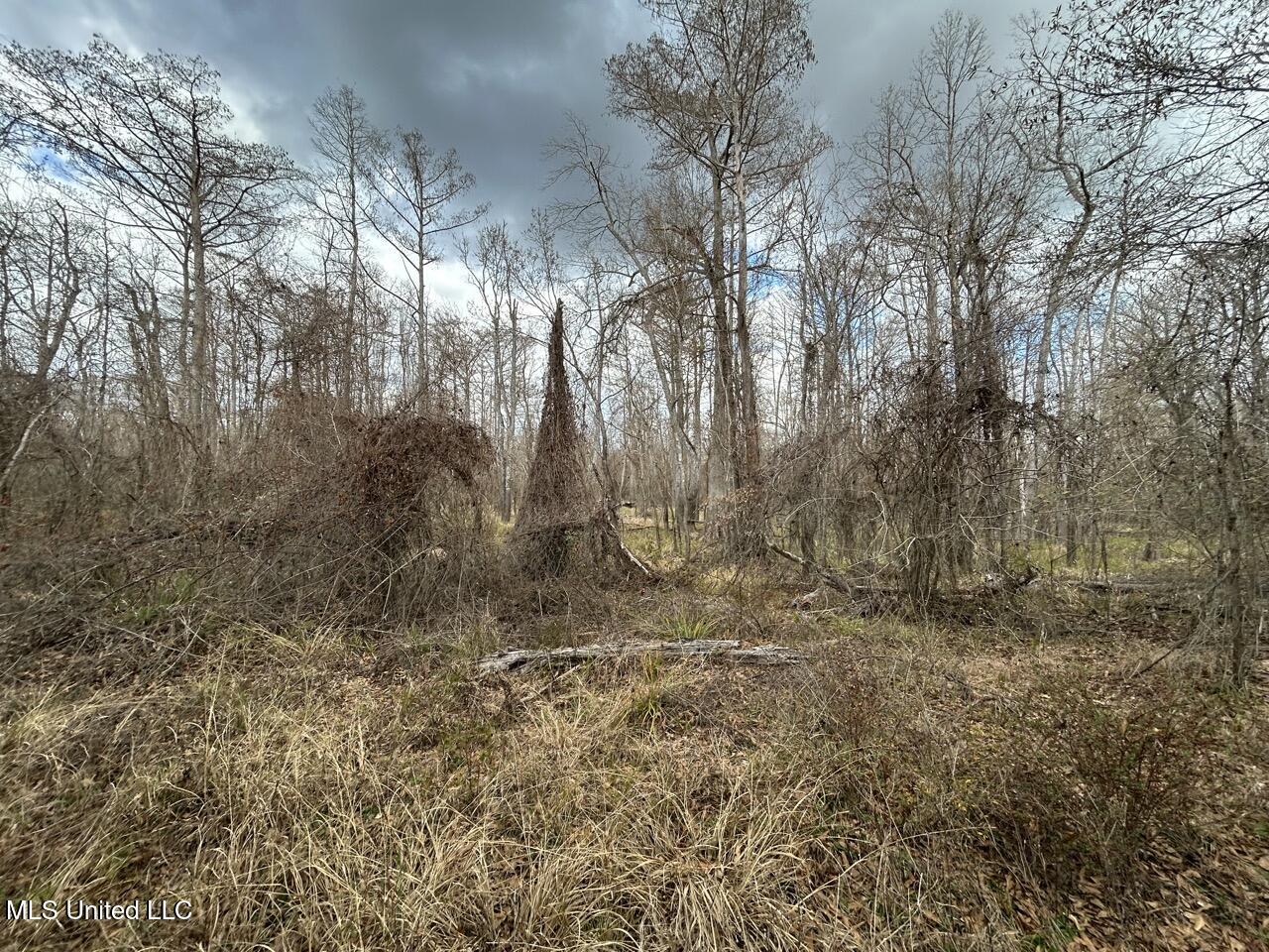 2599 Martin Tram Road Reeves, LA 70658 - Photo 28 of 40 IMG_2948 2 Large