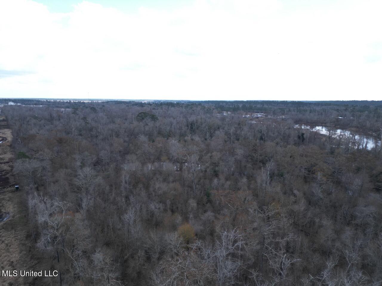 2599 Martin Tram Road Reeves, LA 70658 - Photo 3 of 40 DJI_0113 Large
