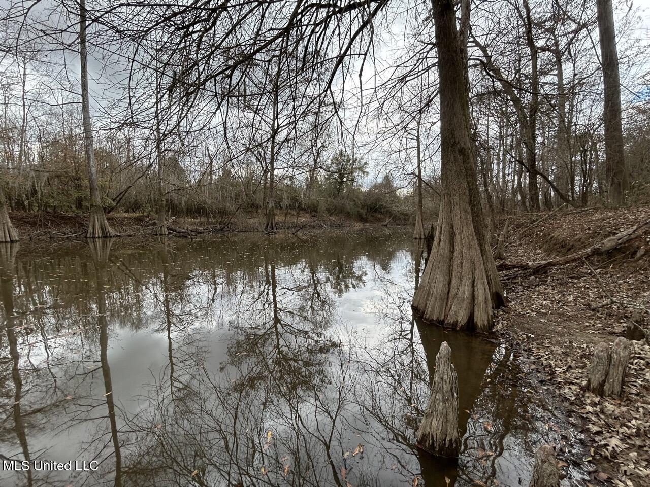 2599 Martin Tram Road Reeves, LA 70658 - Photo 31 of 40 IMG_2955 2 Large