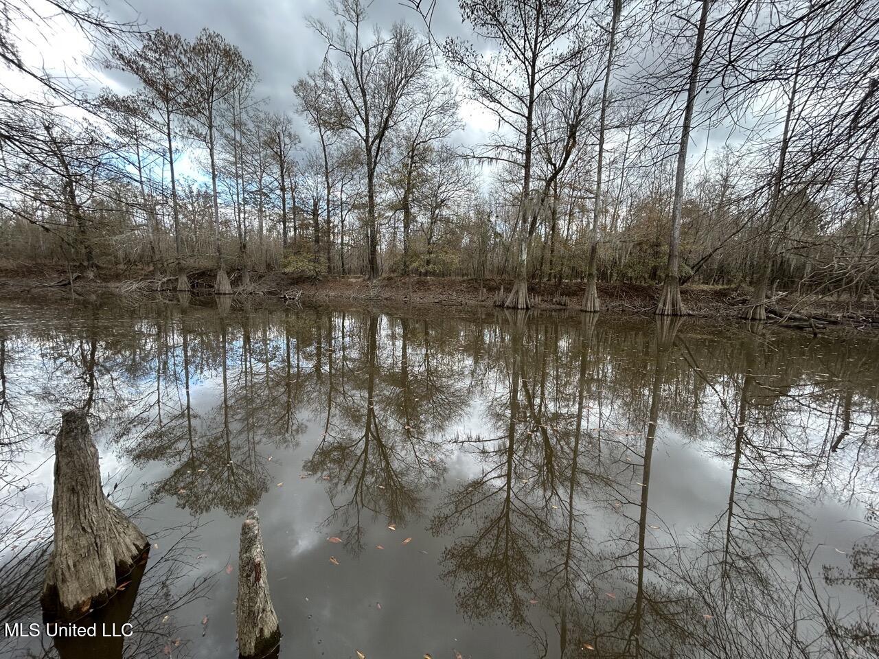 2599 Martin Tram Road Reeves, LA 70658 - Photo 33 of 40 IMG_2958 2 Large