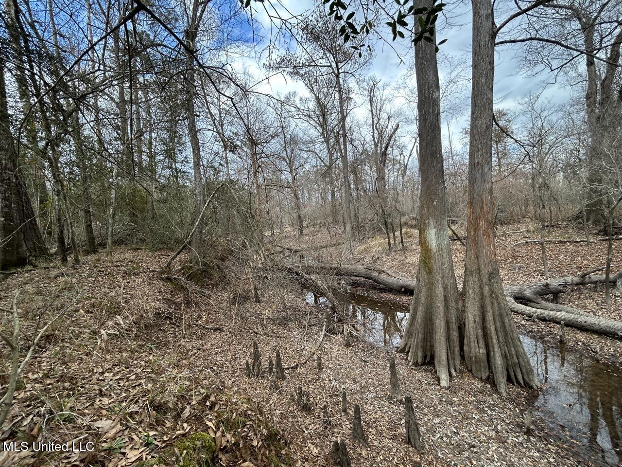 2599 Martin Tram Road Reeves, LA 70658 - Photo 38 of 40 IMG_2965 2 Large
