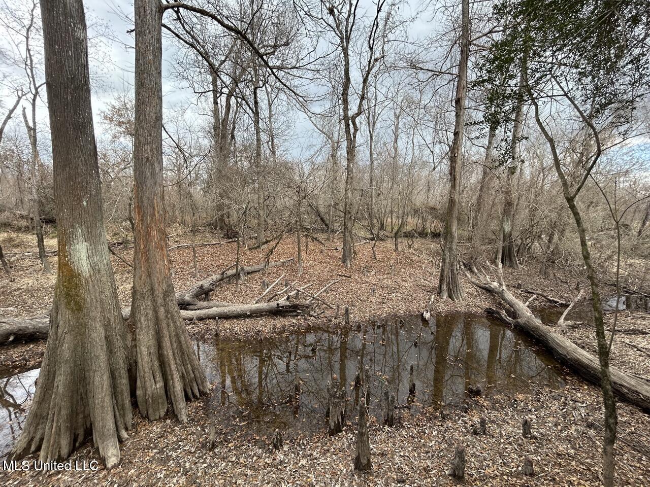 2599 Martin Tram Road Reeves, LA 70658 - Photo 39 of 40 IMG_2969 2 Large
