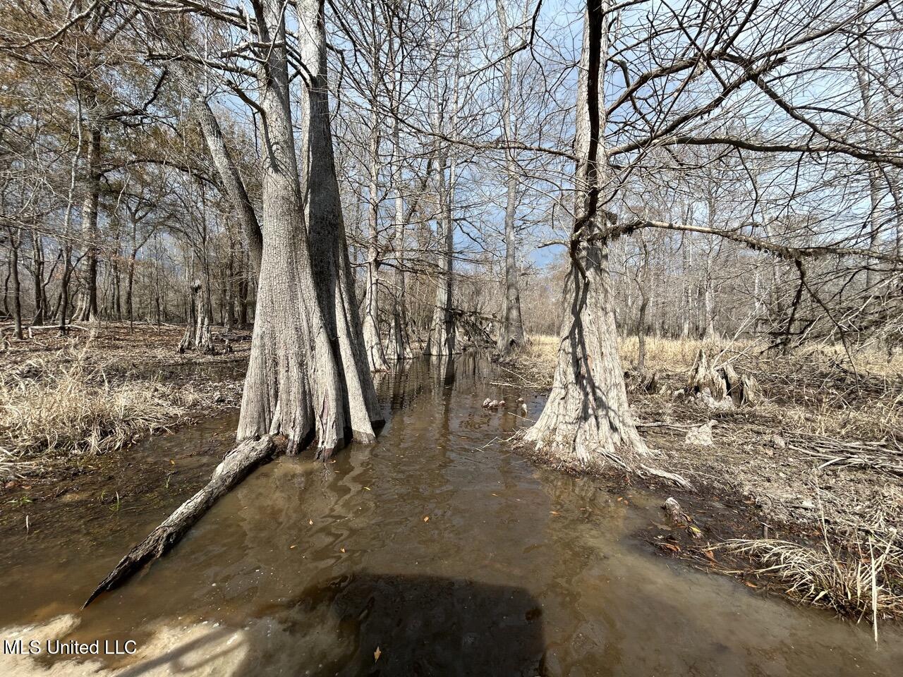 2599 Martin Tram Road Reeves, LA 70658 - Photo 40 of 40 IMG_2972 2 Large