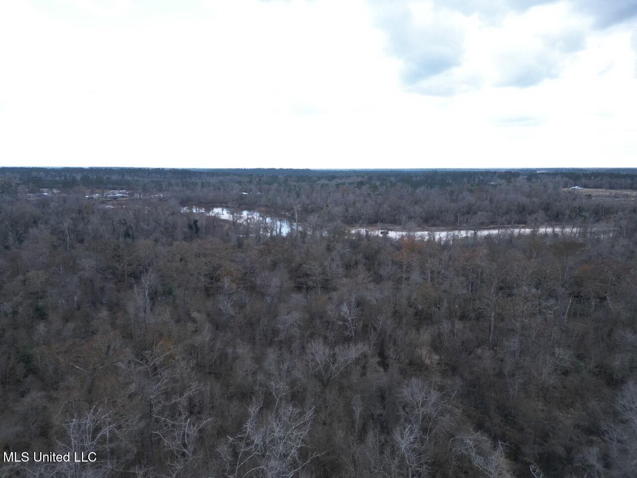 2599 Martin Tram Road Reeves, LA 70658 - Photo 4 of 40 DJI_0114 Large