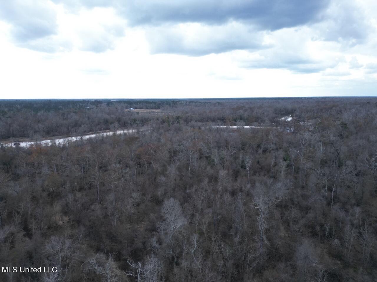 2599 Martin Tram Road Reeves, LA 70658 - Photo 5 of 40 DJI_0115 Large