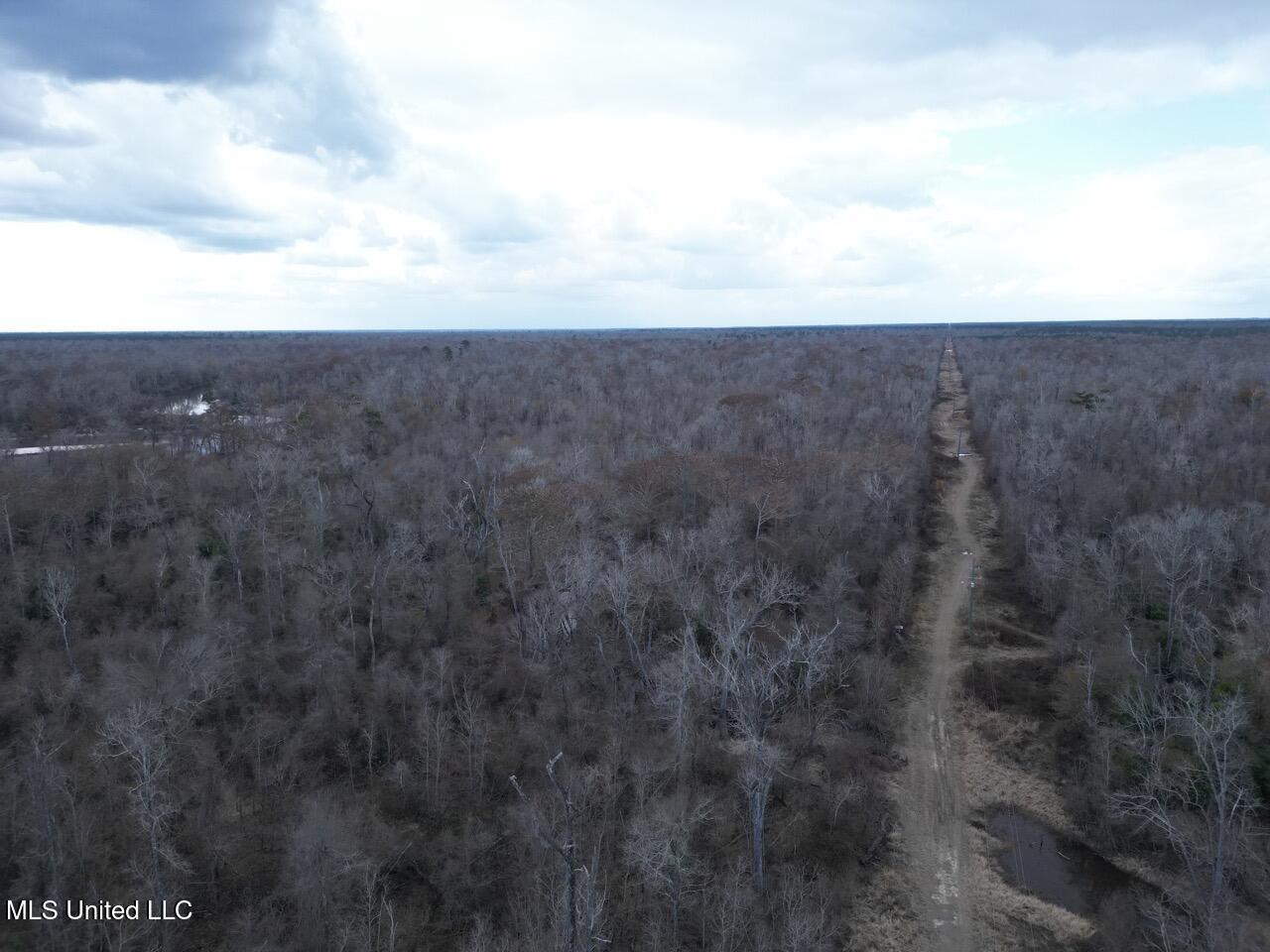 2599 Martin Tram Road Reeves, LA 70658 - Photo 6 of 40 DJI_0116 Large
