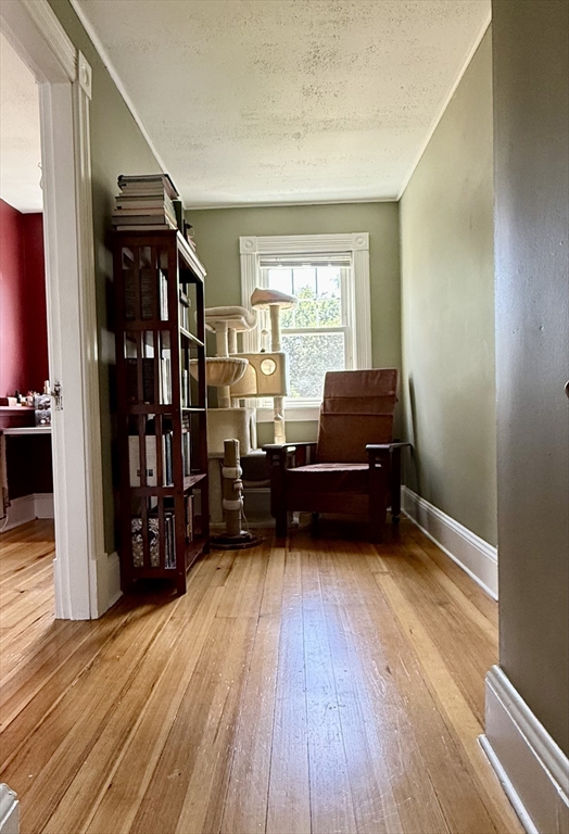 245 Plumtree Road Springfield, MA 01118 - Photo 8 of 18