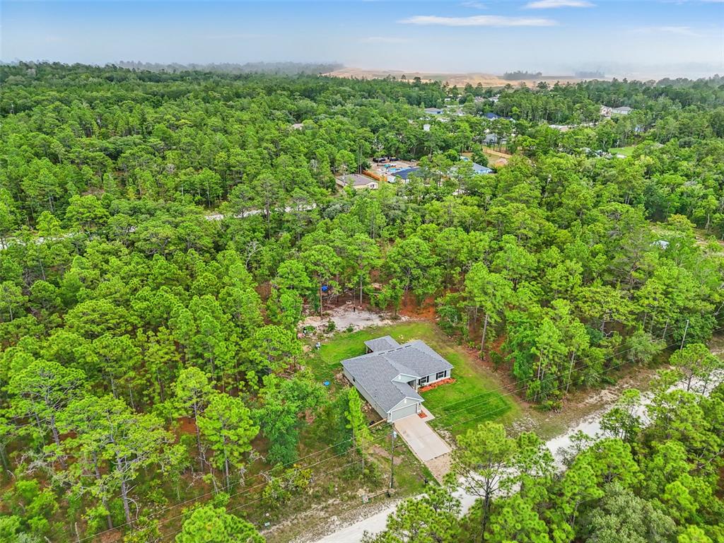 18336 Macek Road Weeki Wachee, FL 34614 - Photo 46 of 49