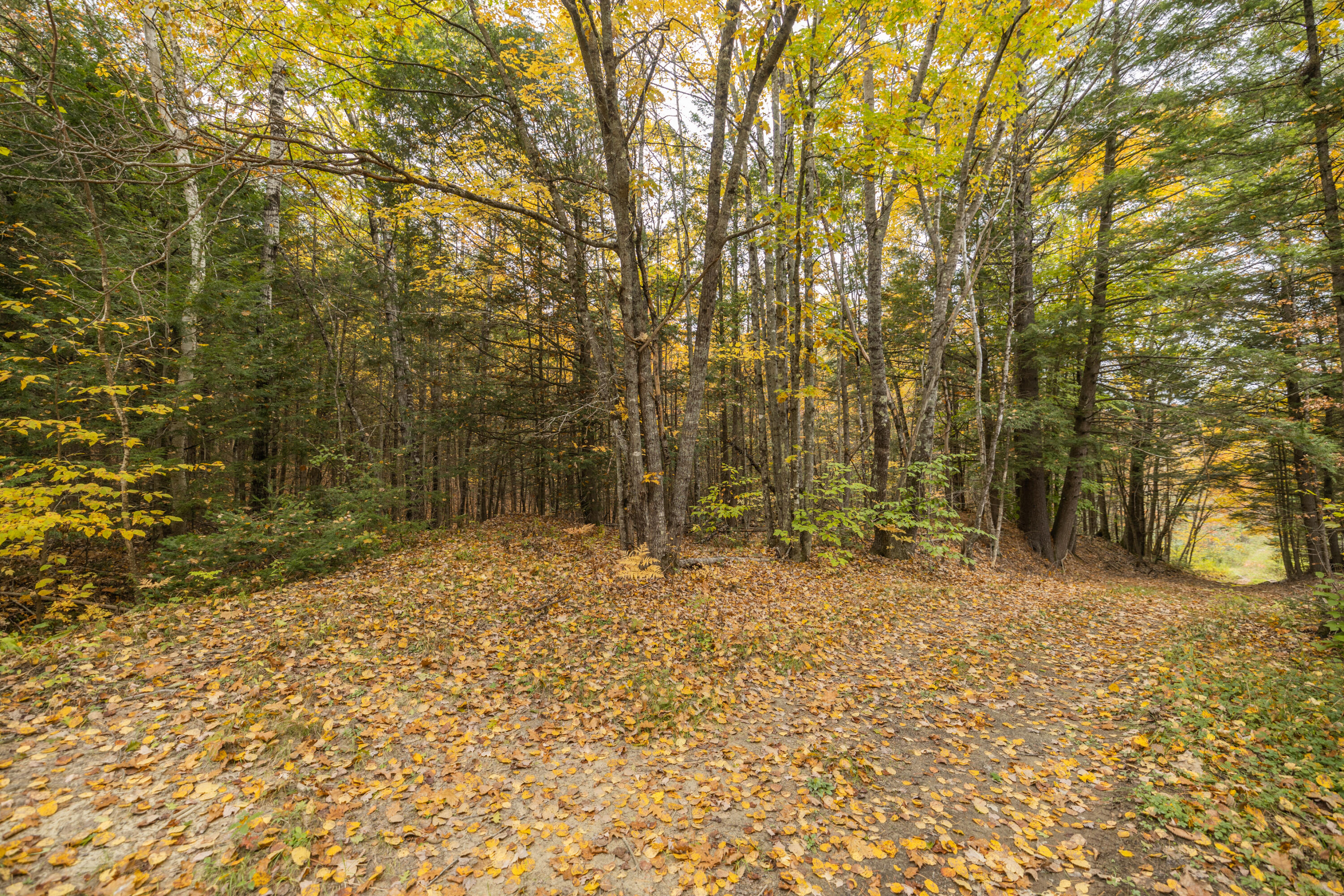 558 B Tobey Road New Gloucester, ME 04260 - Photo 29 of 31 6I3A8833-HDR