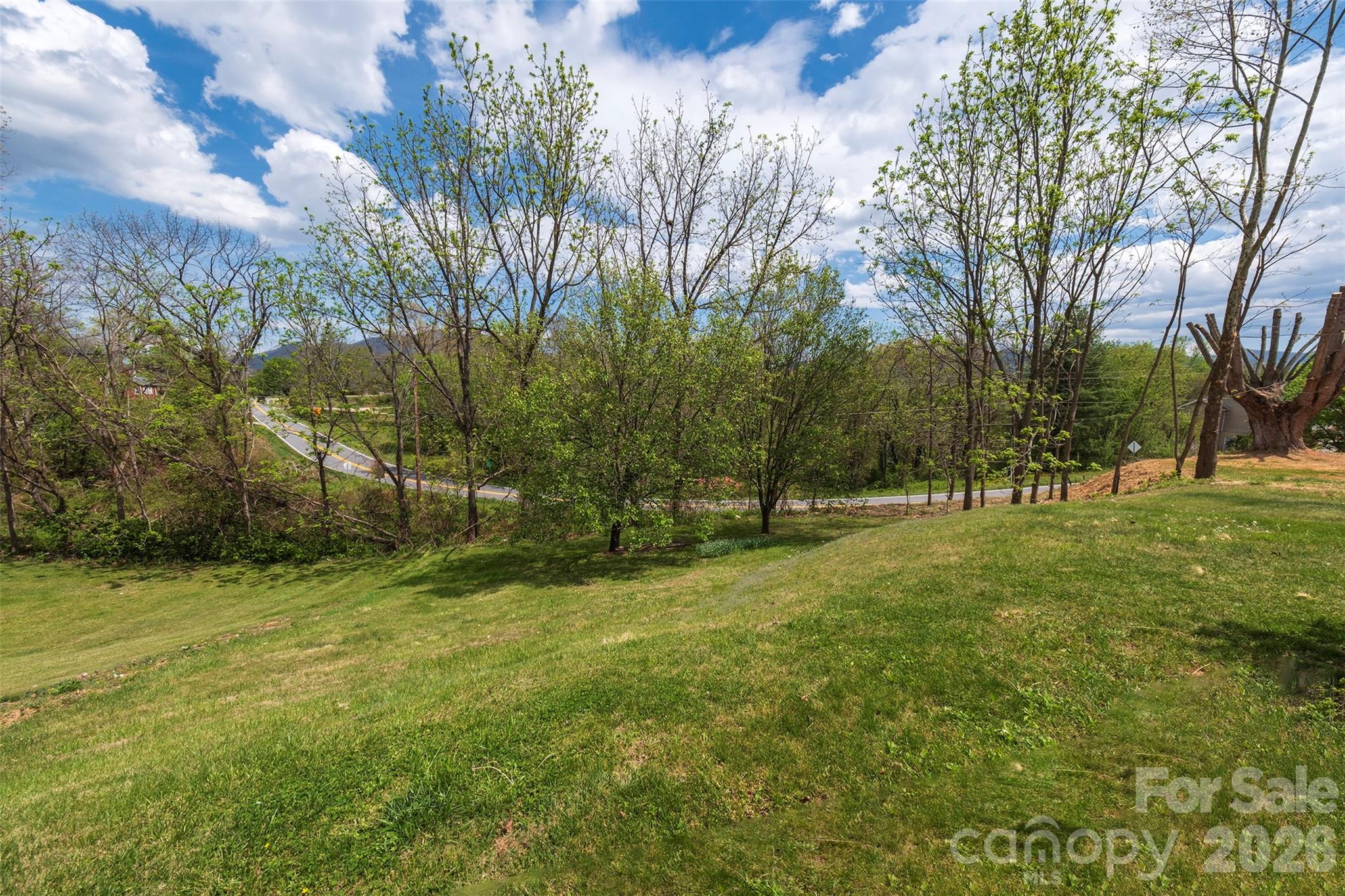 166 Spruce Street Canton, NC 28716 - Photo 19 of 23 a view of a tree in a yard