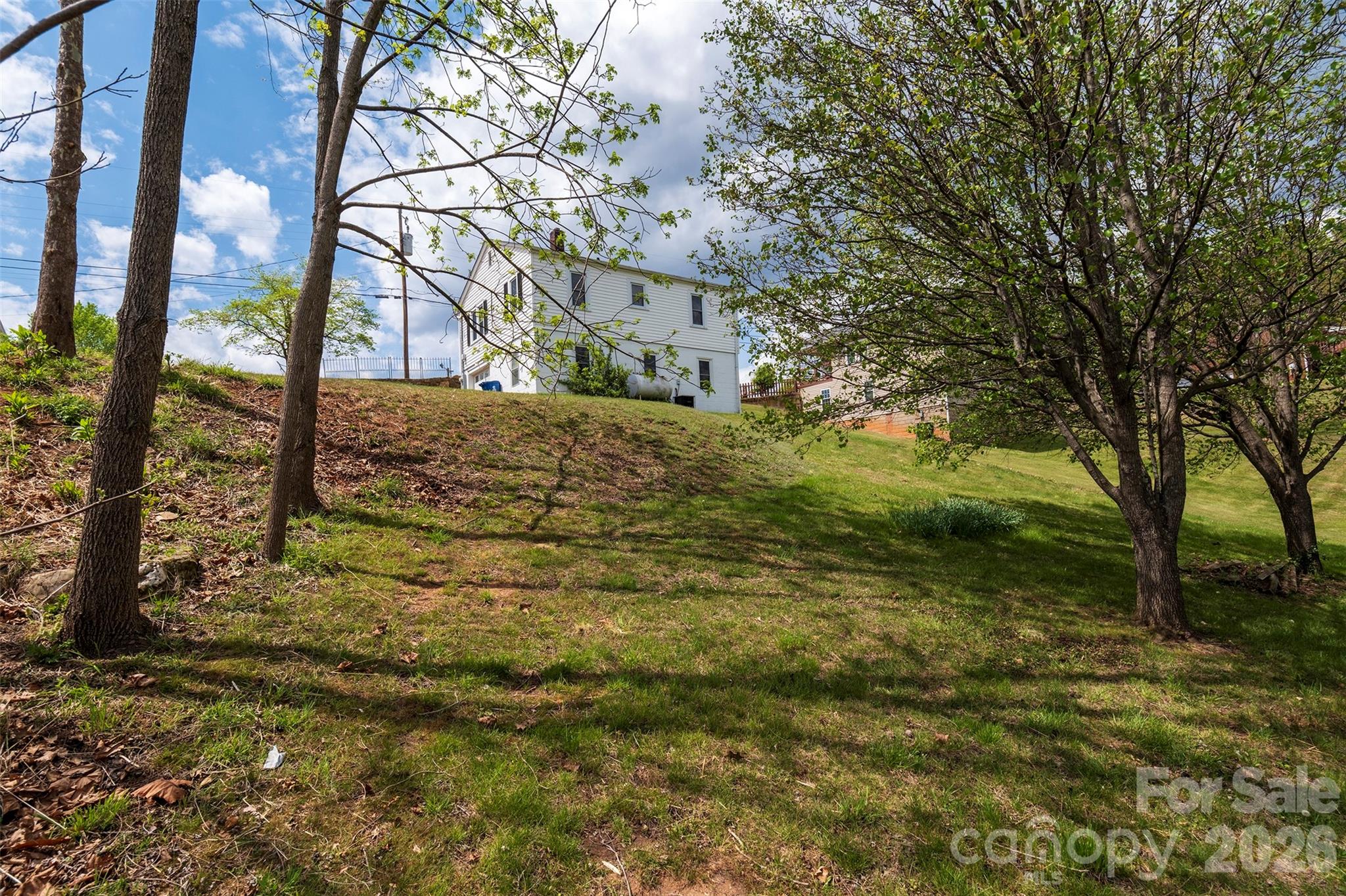 166 Spruce Street Canton, NC 28716 - Photo 20 of 23 a view of yard with trees