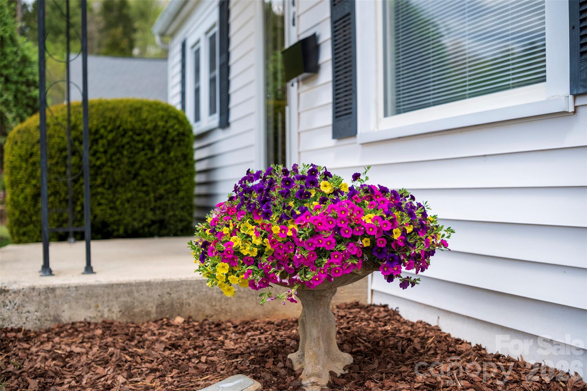 166 Spruce Street Canton, NC 28716 - Photo 3 of 23 a flowers in front of the house