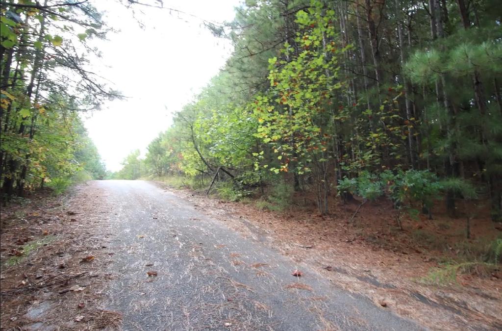 23 Amber Drive Rockmart, GA 30153 - Photo 10 of 12