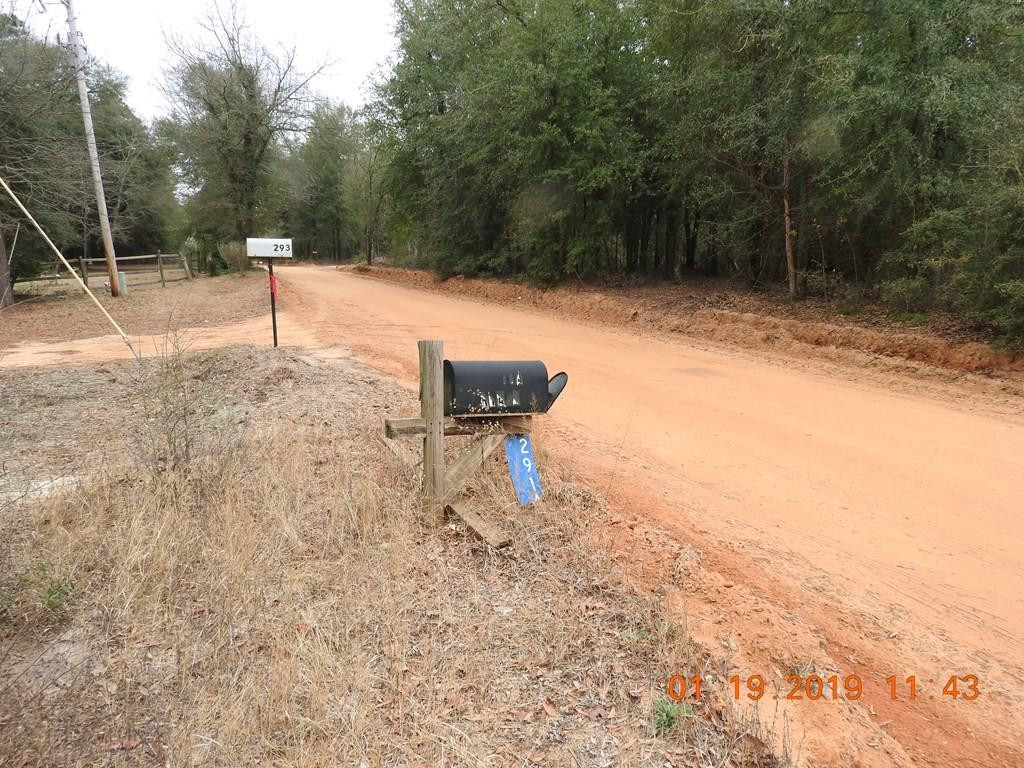 291 A Pearl Bonnett Road Windsor, SC 29856 - Photo 2 of 2