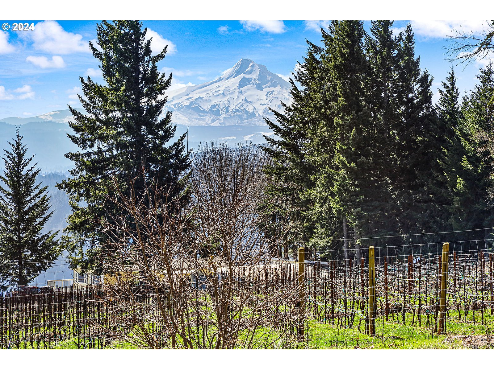 42 George Road Underwood, WA 98651 - Photo 2 of 45 a view of outdoor space and yard