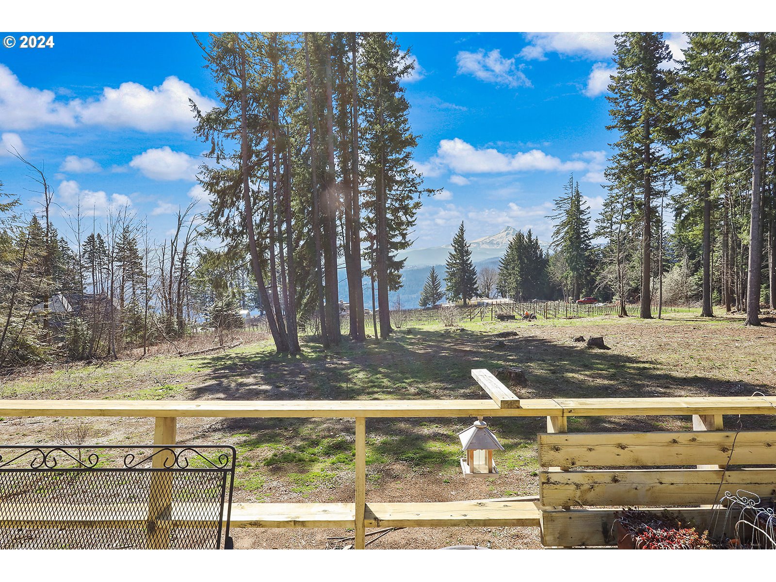 42 George Road Underwood, WA 98651 - Photo 26 of 45 a view of a yard with an trees