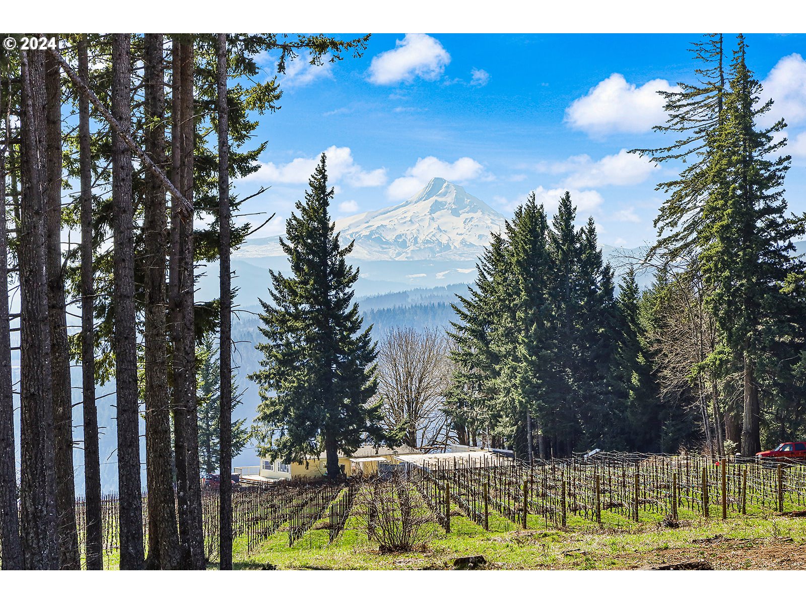 42 George Road Underwood, WA 98651 - Photo 3 of 45 a view of a golf course with a tree