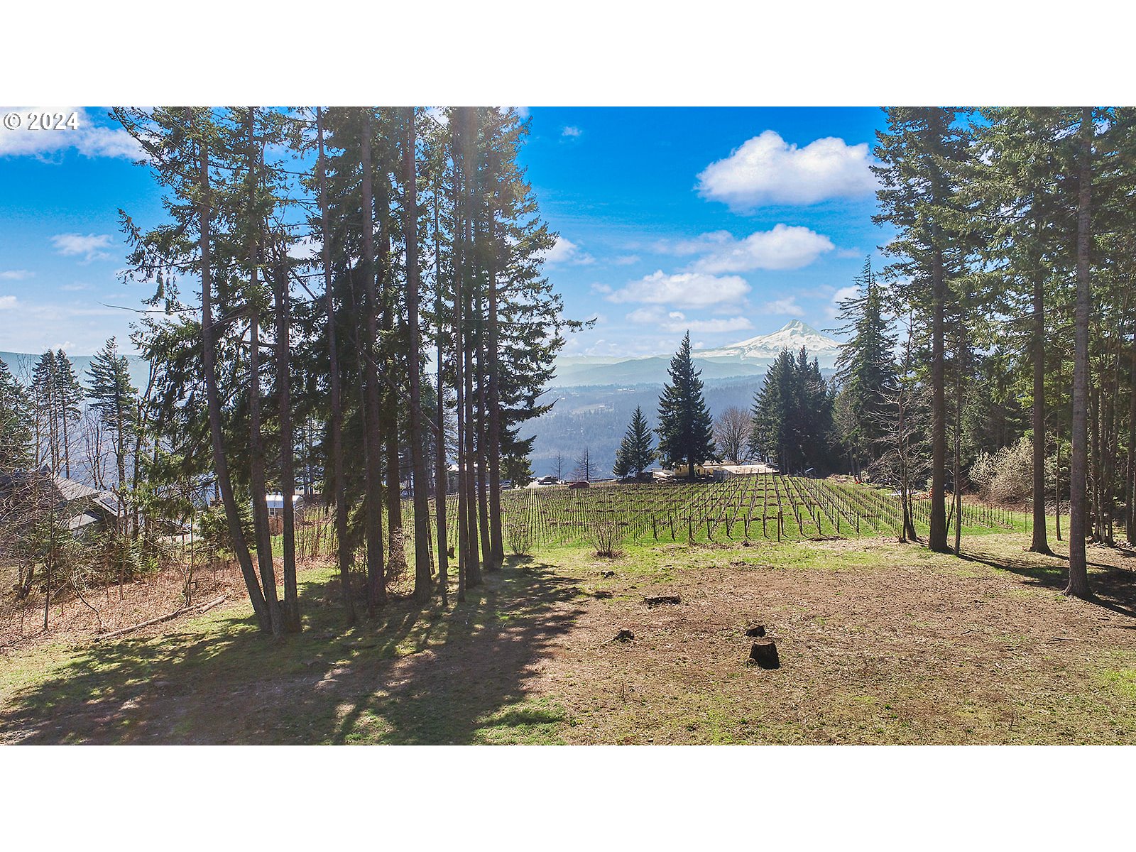 42 George Road Underwood, WA 98651 - Photo 44 of 45 a view of outdoor space with trees