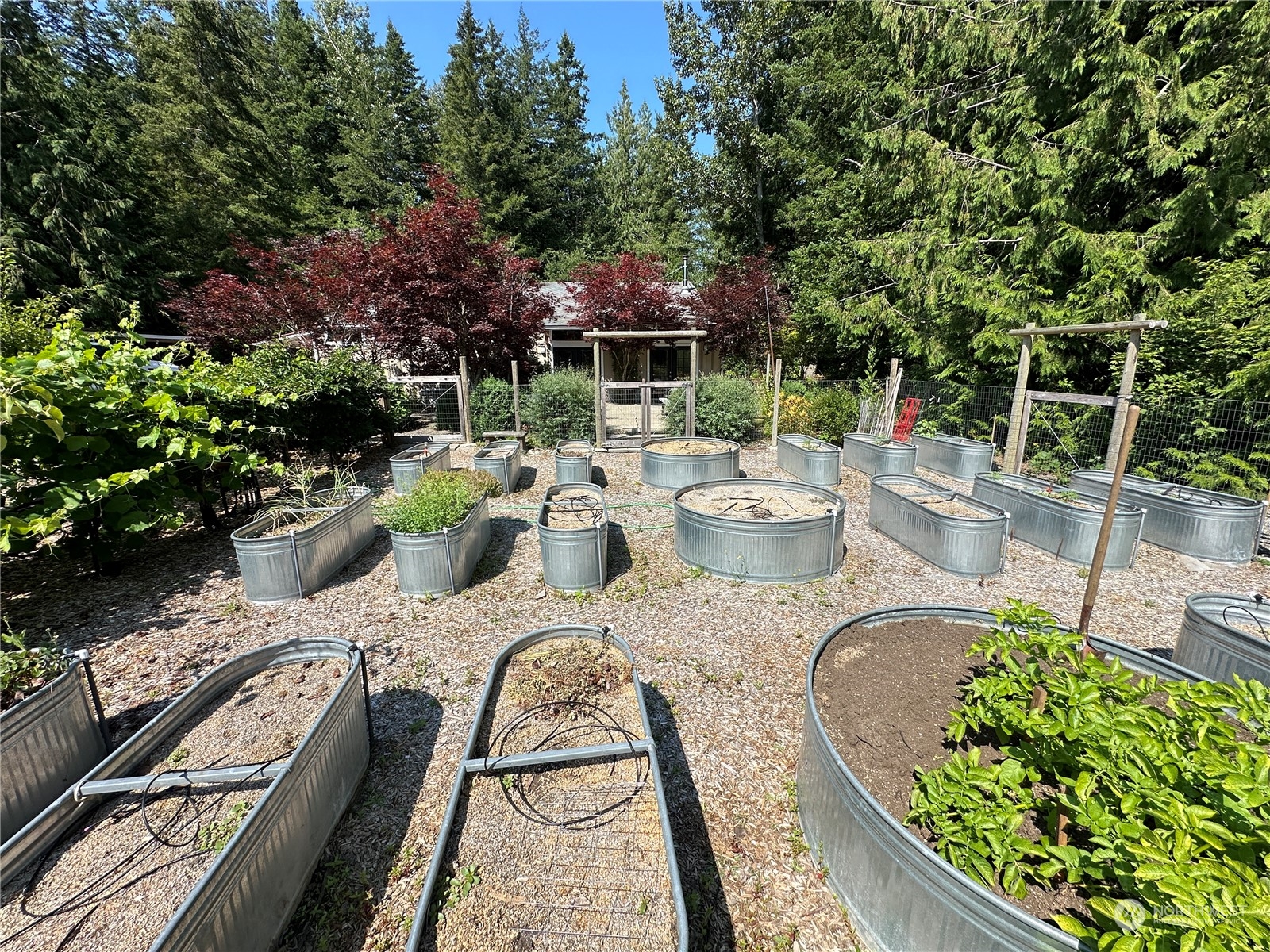1893 Kelly Road Bellingham, WA 98226 - Photo 5 of 27 swimming pool view with a seating space