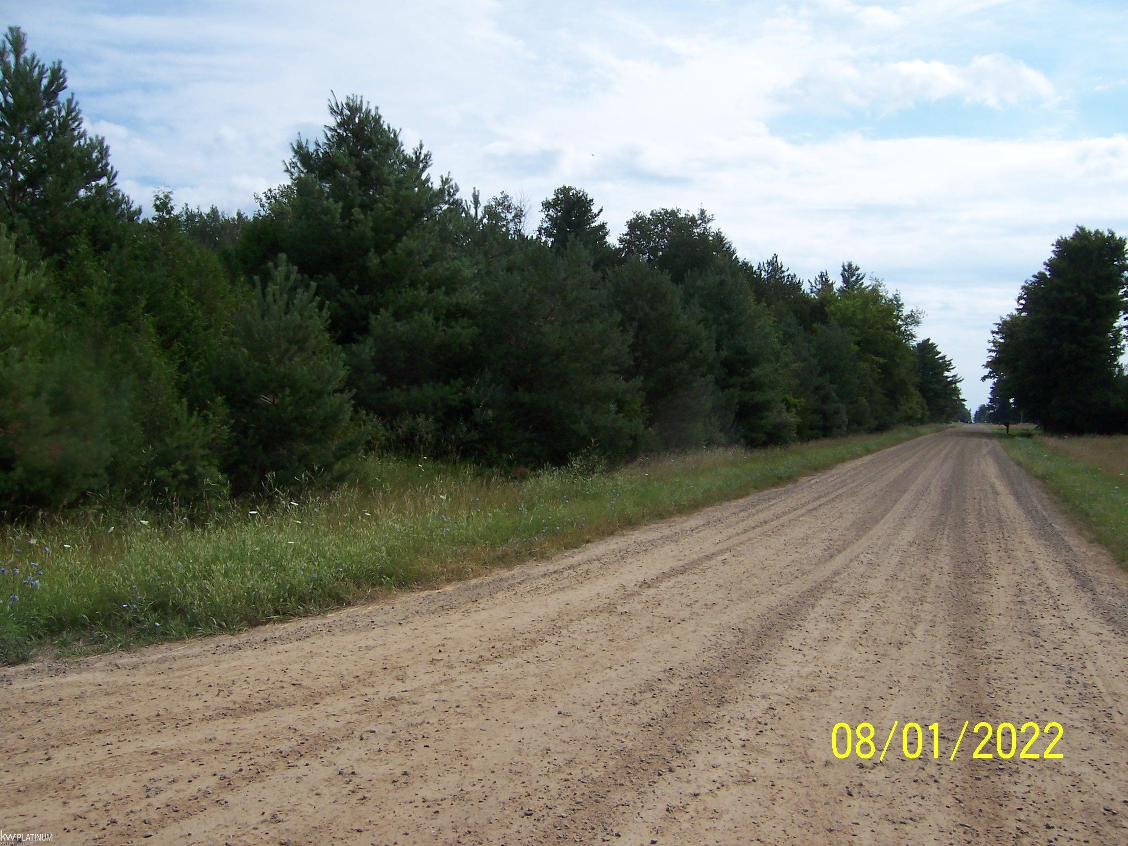 Walker Road Carsonville, MI 48419 - Photo 4 of 7