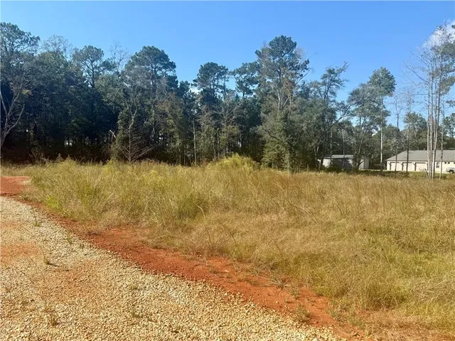 $110,000 | Lot 23 Spirit Of The Forest Lane, Folsom, LA 70437