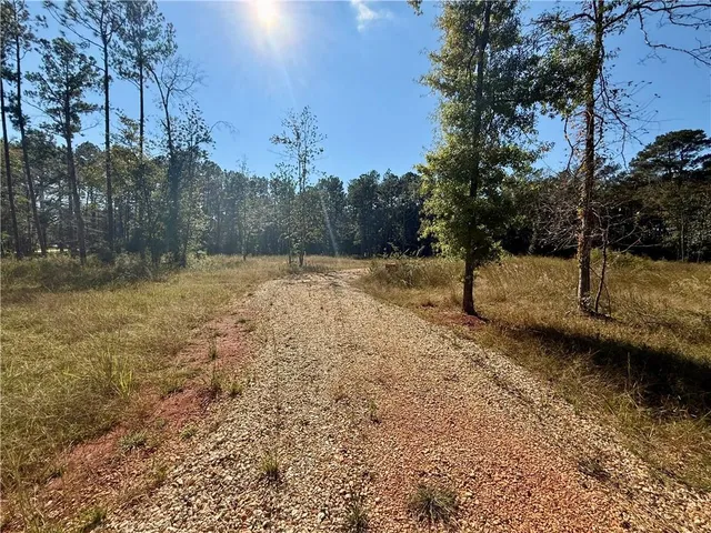 $110,000 | Lot 23 Spirit Of The Forest Lane, Folsom, LA 70437
