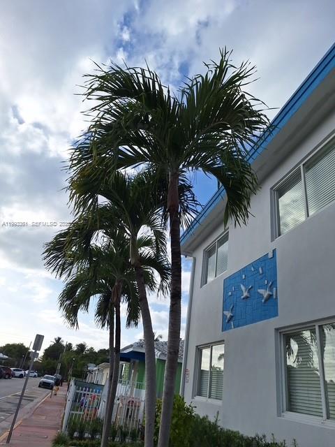 755 83rd Street, Unit 3 Miami Beach, FL 33141 - Photo 3 of 24 a palm tree sitting in front of a house
