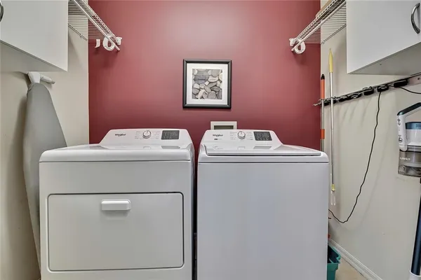a view of a yard with plants and trees