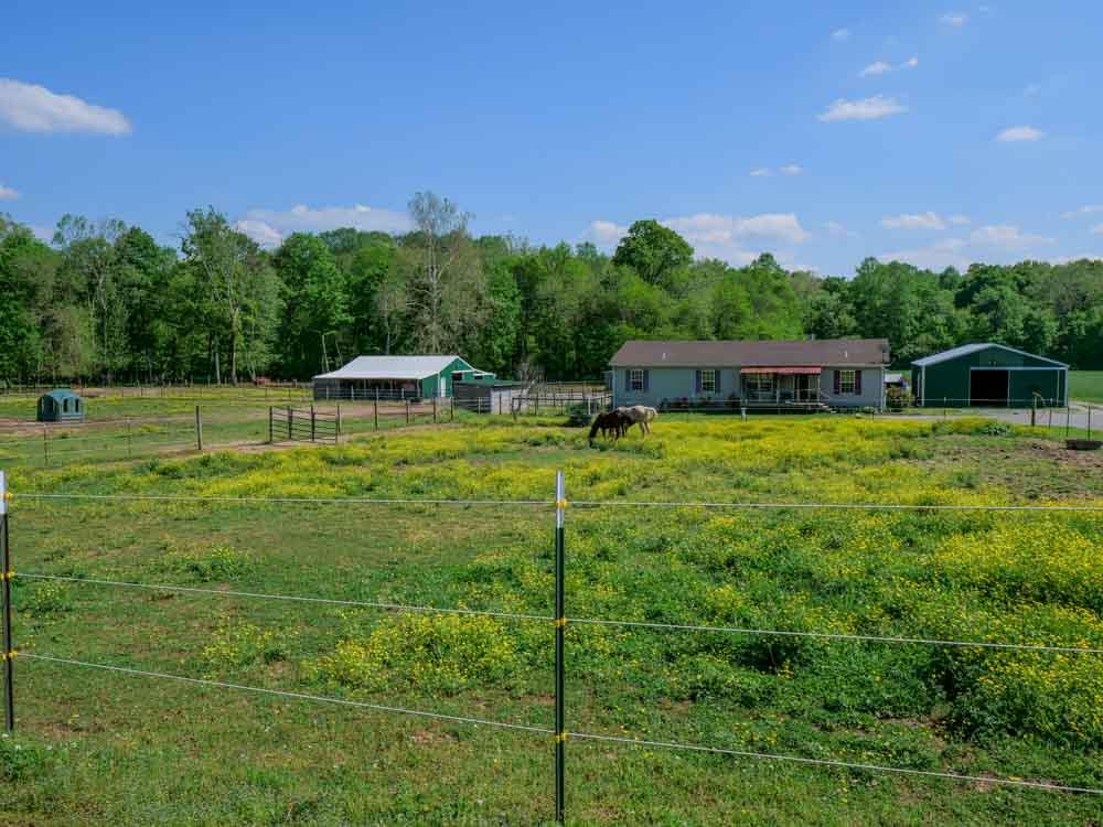 3676 Armstrong Road Springfield, TN 37172 - Photo 2 of 21 a view of a house with a yard