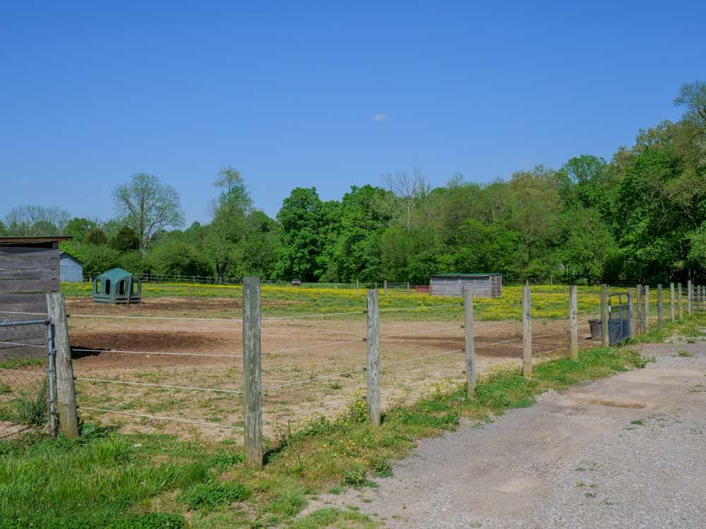 3676 Armstrong Road Springfield, TN 37172 - Photo 21 of 21 a view of a backyard
