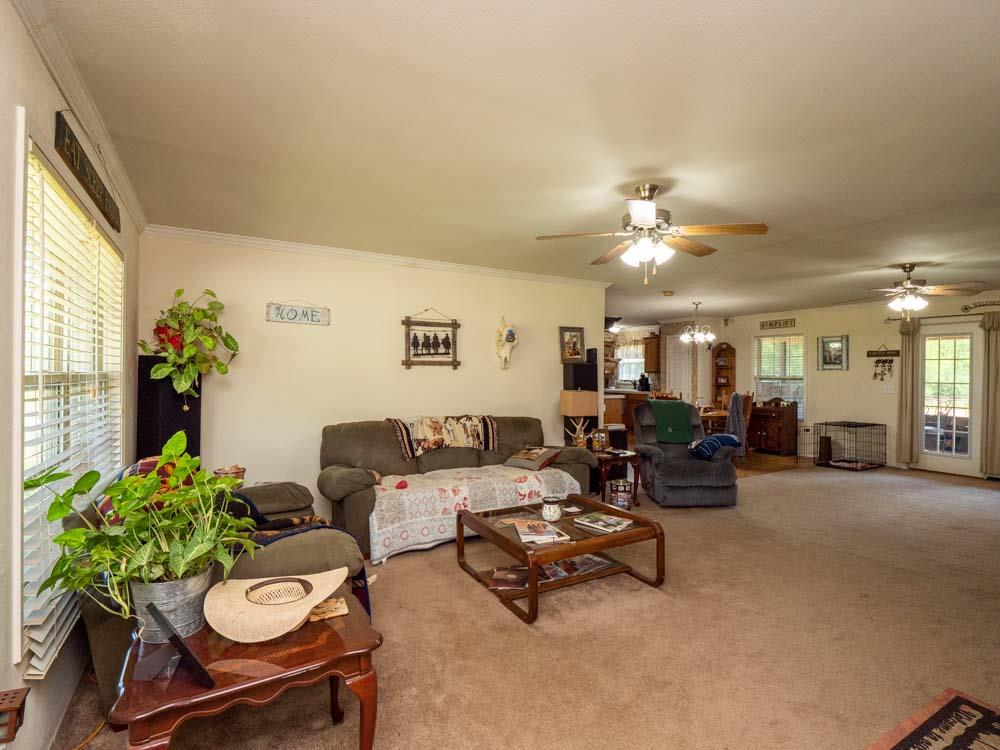 3676 Armstrong Road Springfield, TN 37172 - Photo 8 of 21 a living room with furniture and a chandelier