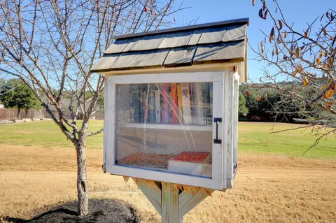 a view of a yard in front of a house with a yard