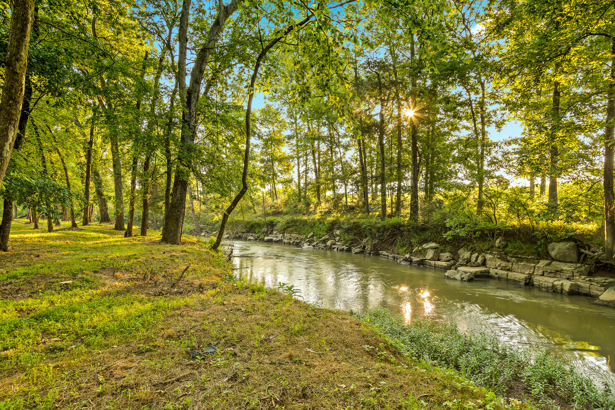 3035 Highway 341 Chickamauga, GA 30707 - Photo 21 of 47 Sunrise along the creek bank