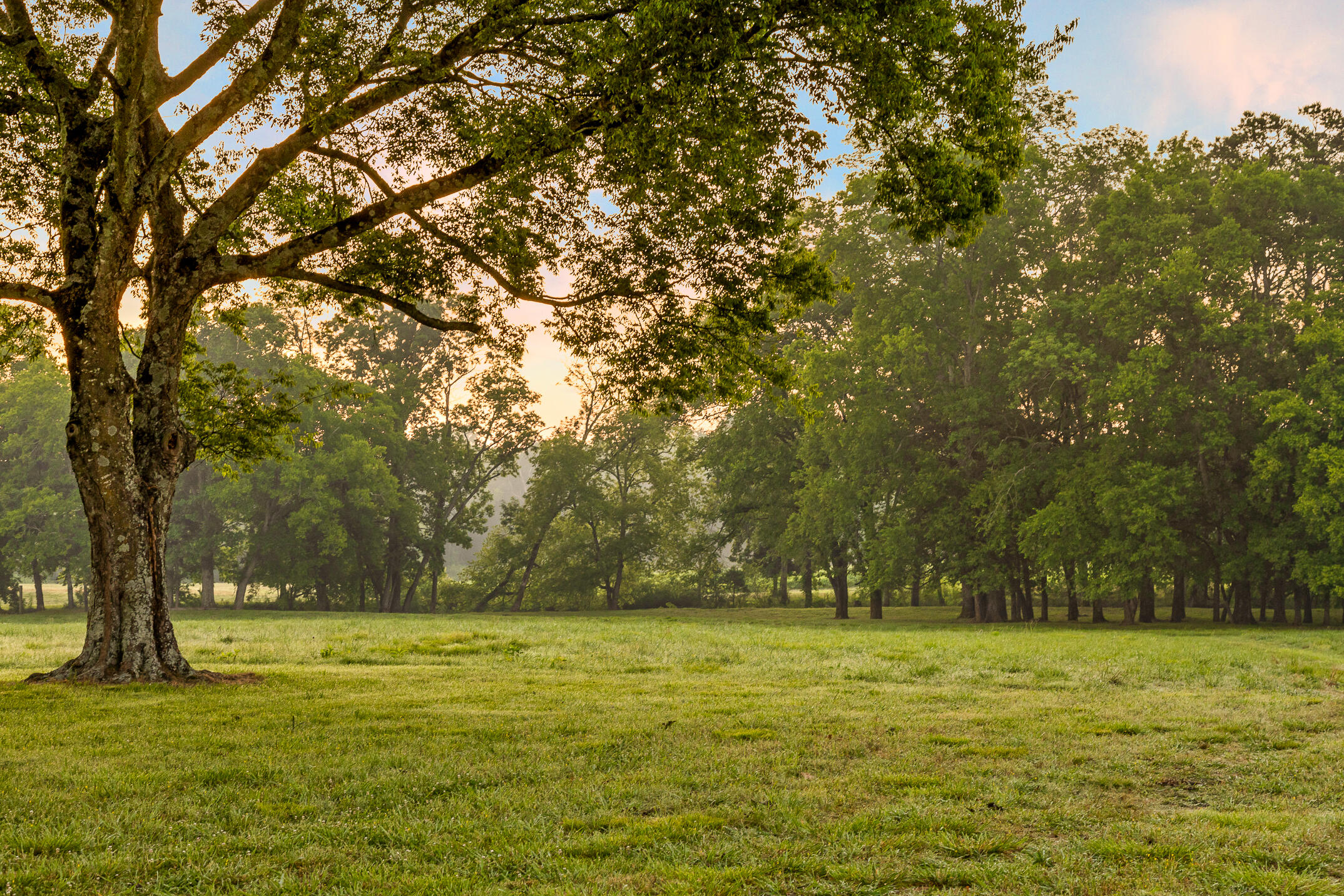 3035 Highway 341 Chickamauga, GA 30707 - Photo 24 of 47 Sunrise on the Farm
