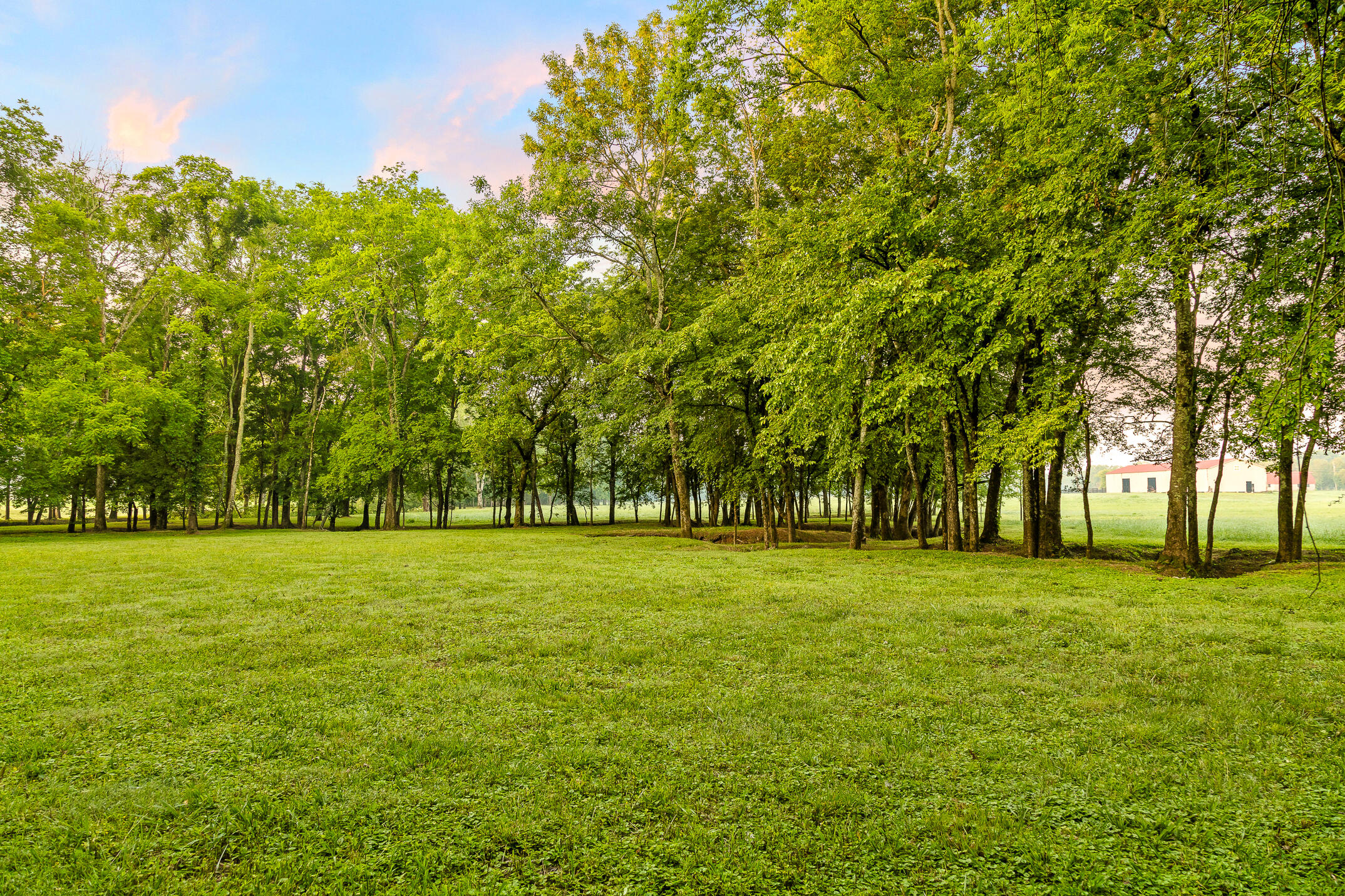 3035 Highway 341 Chickamauga, GA 30707 - Photo 26 of 47 Manicured tree grove