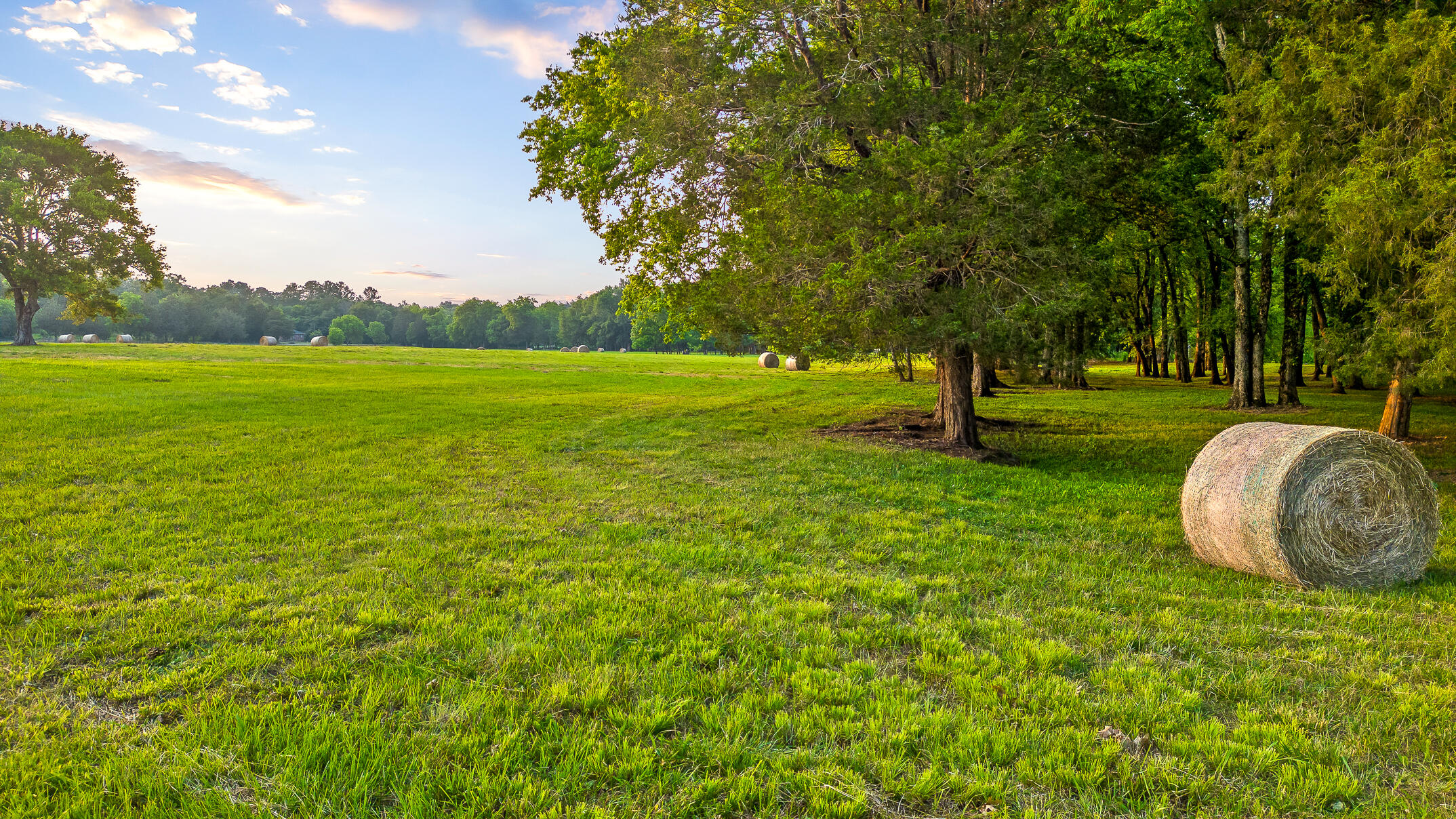 3035 Highway 341 Chickamauga, GA 30707 - Photo 28 of 47 Manicured tree grove and pasture land
