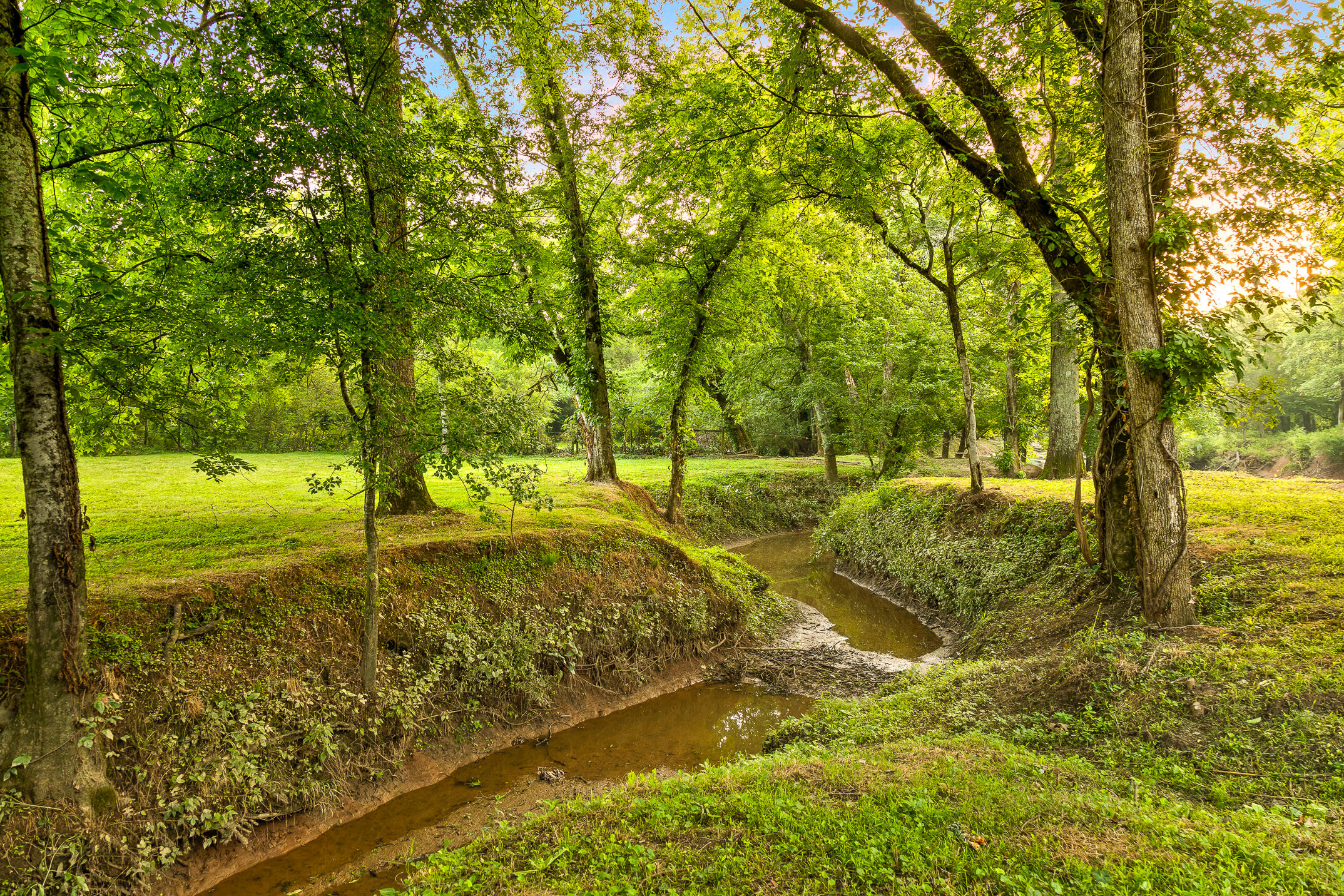 3035 Highway 341 Chickamauga, GA 30707 - Photo 29 of 47 Water inlet within the fields