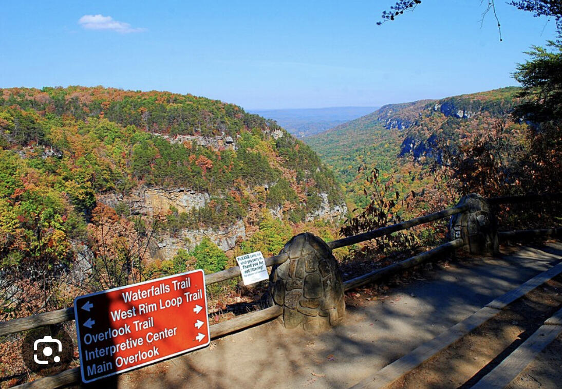3035 Highway 341 Chickamauga, GA 30707 - Photo 41 of 47 Cloudland Canyon