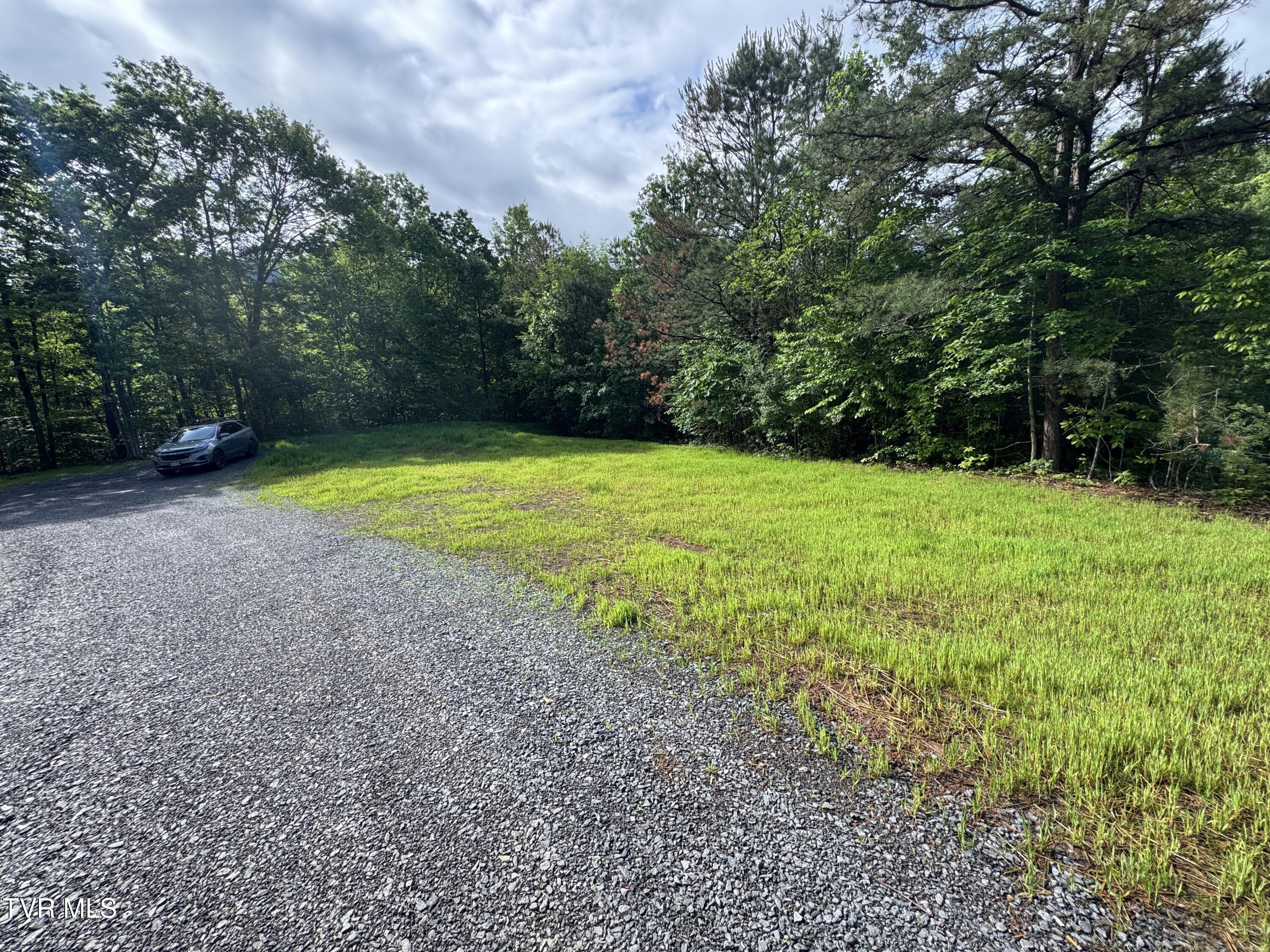 1555 Hamner Hollow Road Big Stone Gap, VA 24219 - Photo 9 of 41 RIGHT SIDE LOT FROM HOME