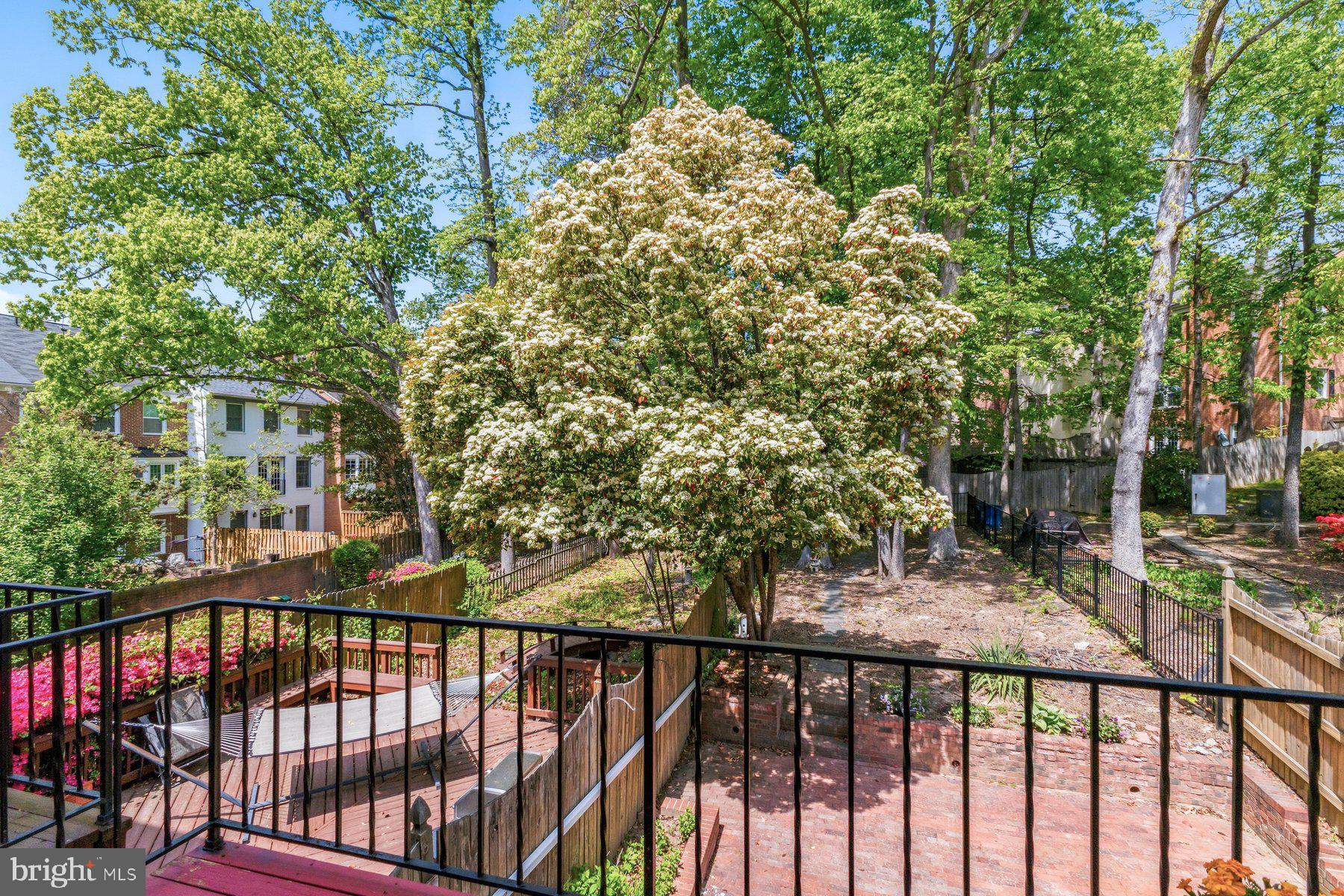 8240 Taunton Place Springfield, VA 22152 - Photo 30 of 48